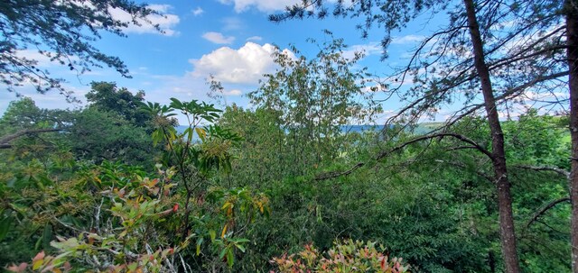 233 Crest View Ln, Sparta, TN 38583 - photo 20