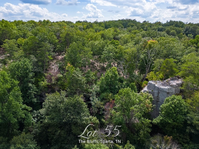 233 Crest View Ln, Sparta, TN 38583 - photo 2