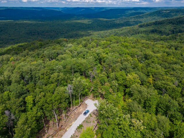 233 Crest View Ln, Sparta, TN 38583 - photo 7