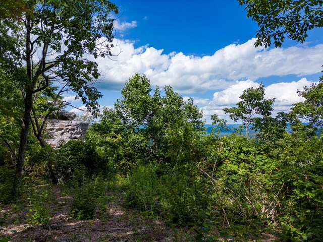 233 Crest View Ln, Sparta, TN 38583 - photo 11