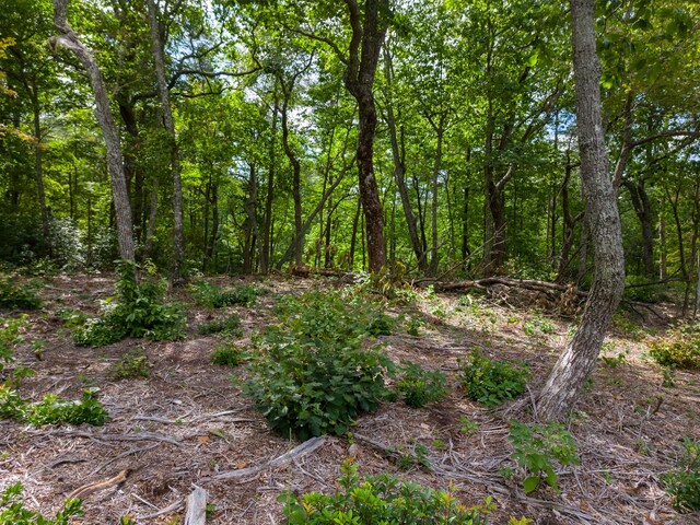 233 Crest View Ln, Sparta, TN 38583 - photo 15