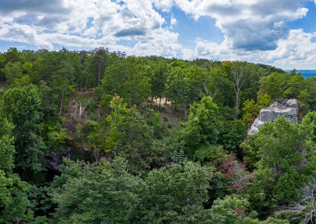 233 Crest View Ln, Sparta, TN 38583 - photo 23