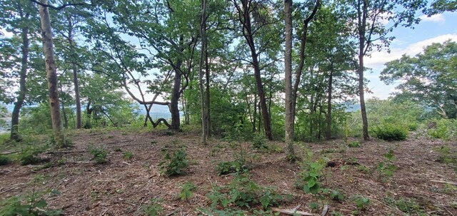 233 Crest View Ln, Sparta, TN 38583 - photo 46