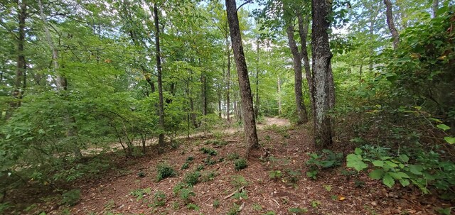 233 Crest View Ln, Sparta, TN 38583 - photo 40