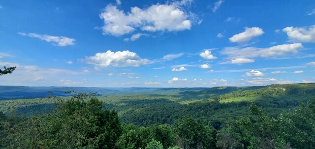 233 Crest View Ln, Sparta, TN 38583 - photo 22