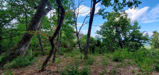 233 Crest View Ln, Sparta, TN 38583 - photo 43