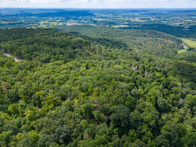 233 Crest View Ln, Sparta, TN 38583 - photo 32