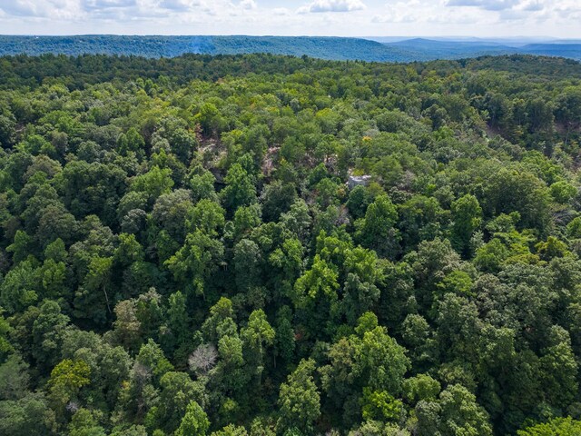 233 Crest View Ln, Sparta, TN 38583 - photo 28
