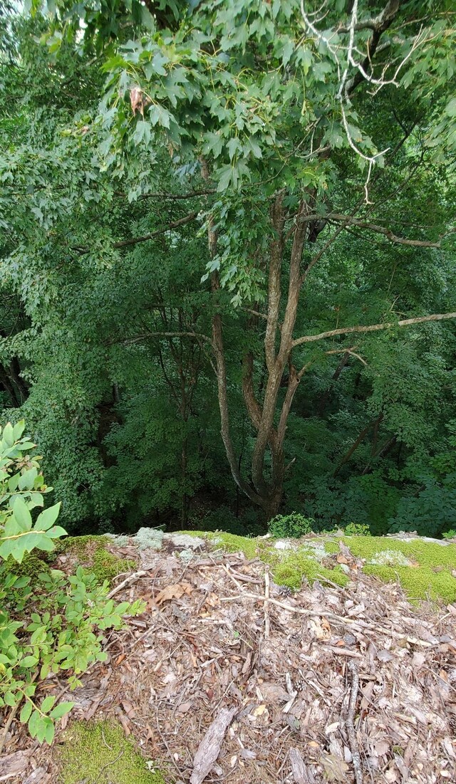 233 Crest View Ln, Sparta, TN 38583 - photo 18