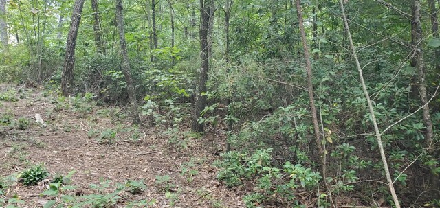 233 Crest View Ln, Sparta, TN 38583 - photo 38