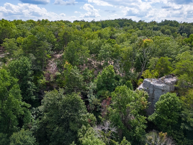 233 Crest View Ln, Sparta, TN 38583 - photo 24