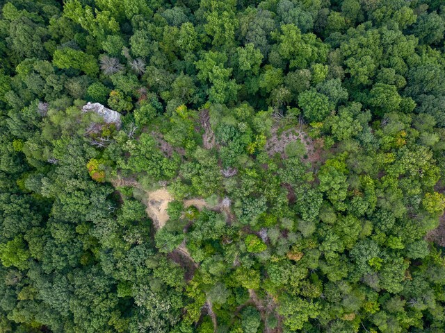 233 Crest View Ln, Sparta, TN 38583 - photo 36