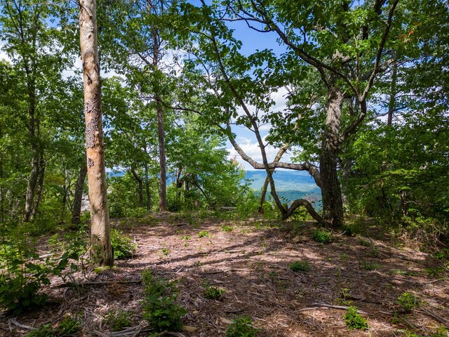 233 Crest View Ln, Sparta, TN 38583 - photo 14