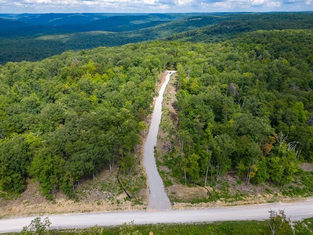 233 Crest View Ln, Sparta, TN 38583 - photo 8