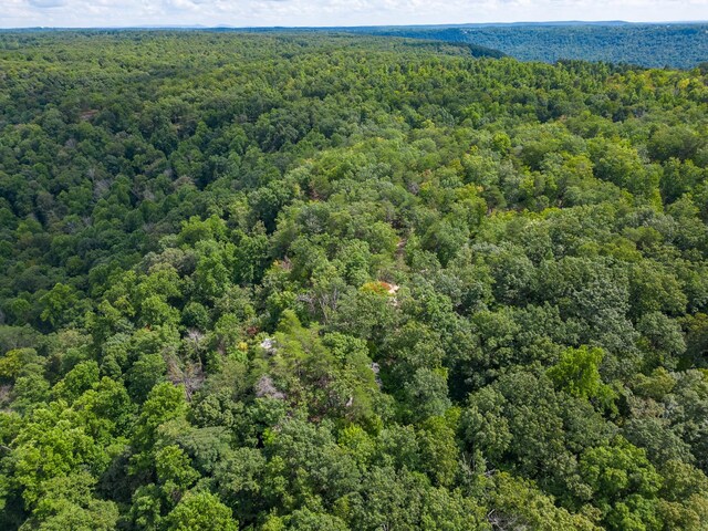 233 Crest View Ln, Sparta, TN 38583 - photo 26