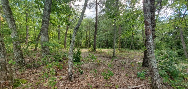233 Crest View Ln, Sparta, TN 38583 - photo 44
