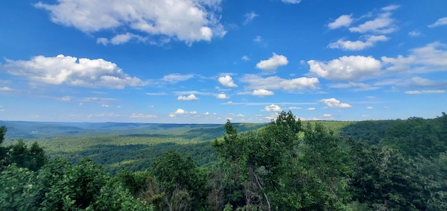 233 Crest View Ln, Sparta, TN 38583 - photo 3