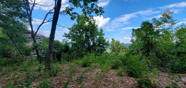 233 Crest View Ln, Sparta, TN 38583 - photo 42