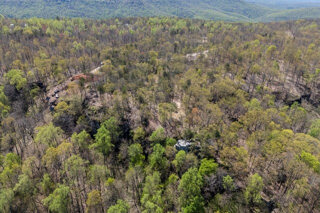 233 Crest View Ln, Sparta, TN 38583 - photo 6