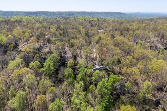 233 Crest View Ln, Sparta, TN 38583 - photo 5