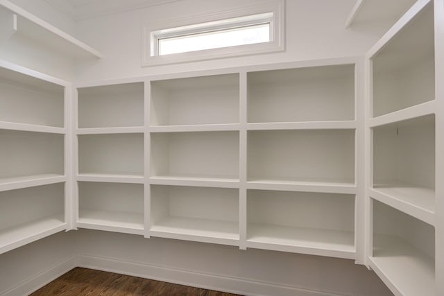 2042 Imagine Cir, Spring Hill, TN 37174 - view of pantry