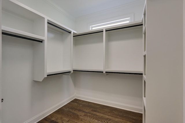 2042 Imagine Cir, Spring Hill, TN 37174 - spacious closet with dark wood finished floors