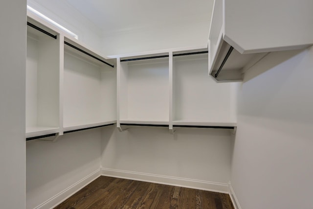 2042 Imagine Cir, Spring Hill, TN 37174 - spacious closet with dark wood-type flooring