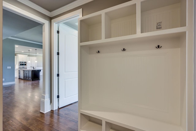 2042 Imagine Cir, Spring Hill, TN 37174 - mudroom featuring crown molding, dark wood-style floors, and a sink