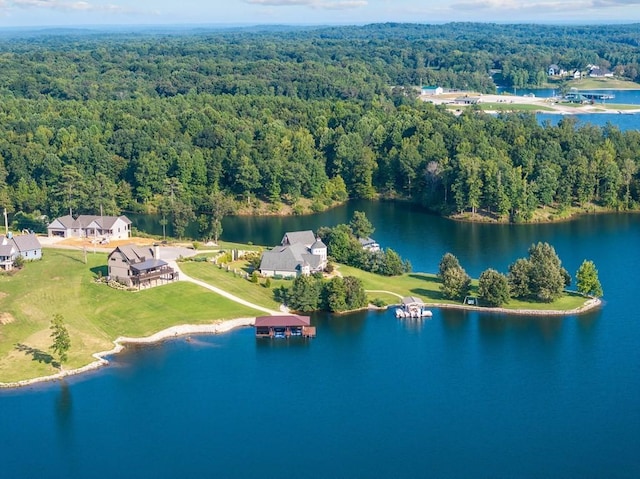 birds eye view of property with a forest view and a water view