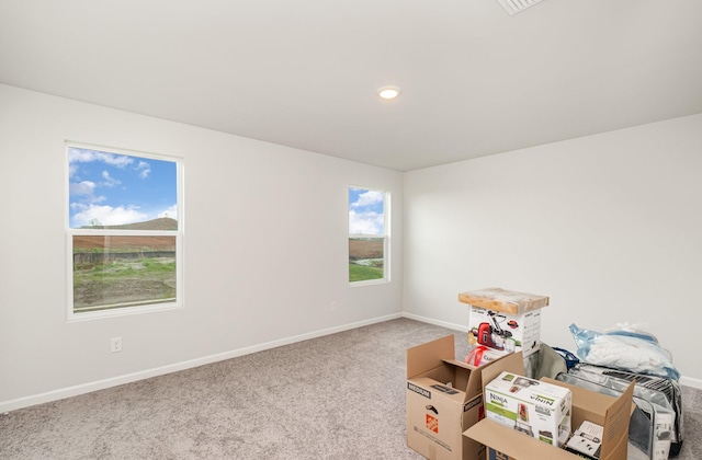 interior space featuring baseboards and carpet flooring