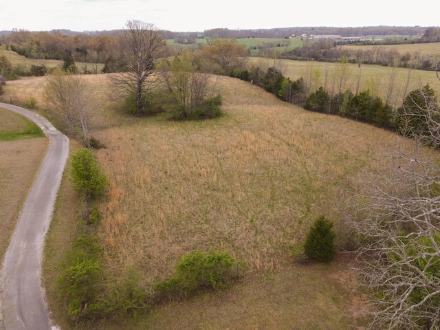 1601 Harvie Mills Rd W, Cookeville, TN 38501 - birds eye view of property with a rural view