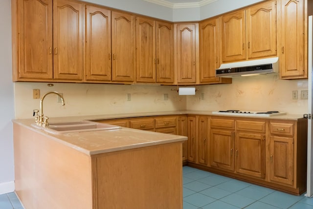 1601 Harvie Mills Rd W, Cookeville, TN 38501 - kitchen featuring light countertops, under cabinet range hood, a sink, and white stovetop