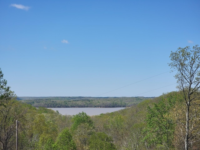 1025 Vista Ridge Dr, Stewart, TN 37175