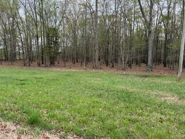 0 Summertown Hwy, Hohenwald, TN 38462