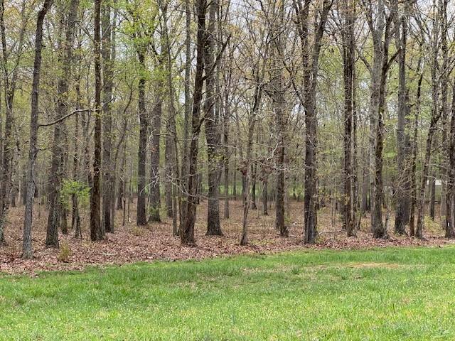 0 Summertown Hwy, Hohenwald, TN 38462