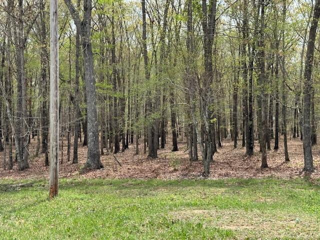 0 Summertown Hwy, Hohenwald, TN 38462