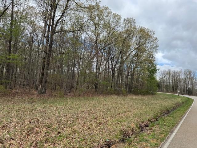 0 Summertown Hwy, Hohenwald, TN 38462
