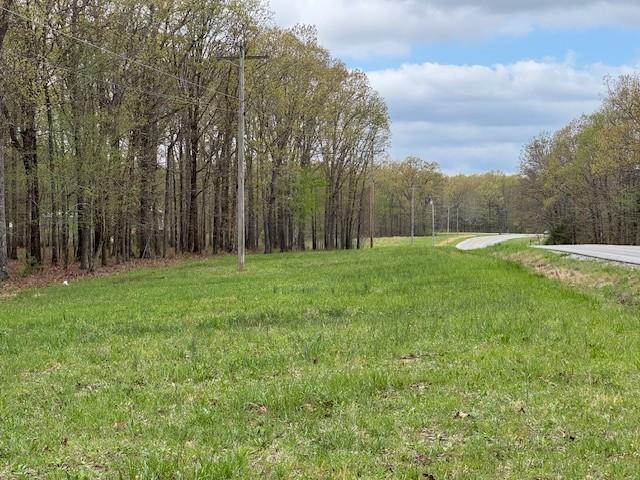 0 Summertown Hwy, Hohenwald, TN 38462