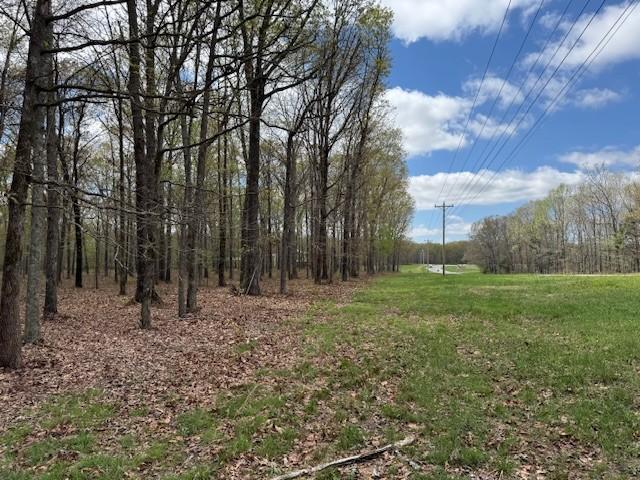 0 Summertown Hwy, Hohenwald, TN 38462