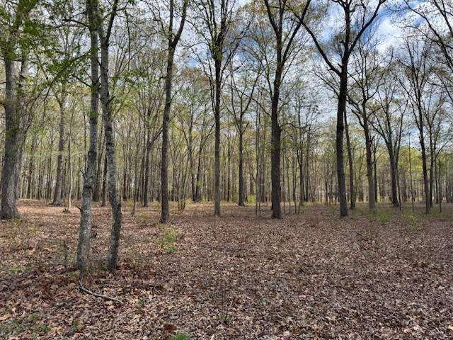 0 Summertown Hwy, Hohenwald, TN 38462
