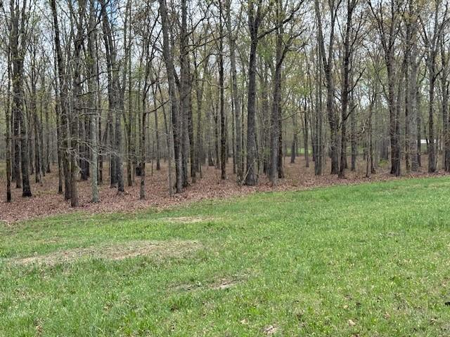 0 Summertown Hwy, Hohenwald, TN 38462