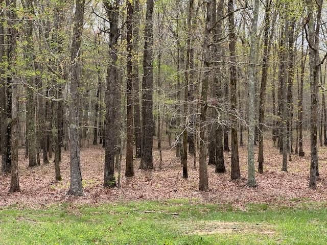 0 Summertown Hwy, Hohenwald, TN 38462