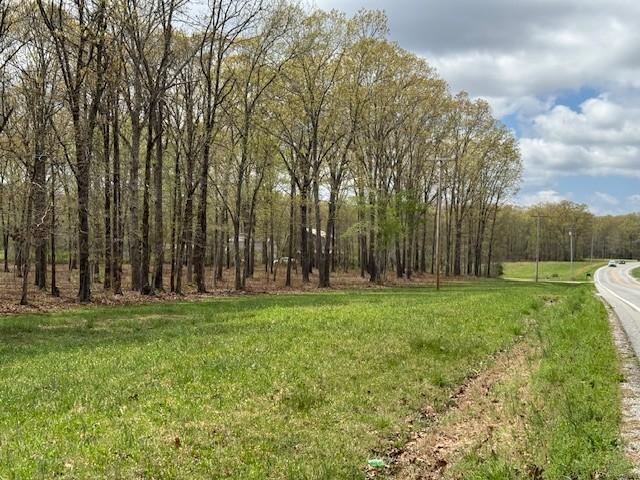 0 Summertown Hwy, Hohenwald, TN 38462
