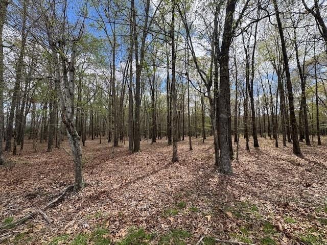 0 Summertown Hwy, Hohenwald, TN 38462