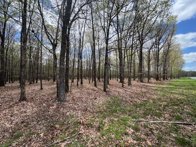0 Summertown Hwy, Hohenwald, TN 38462