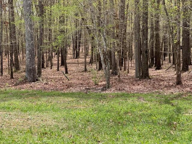0 Summertown Hwy, Hohenwald, TN 38462