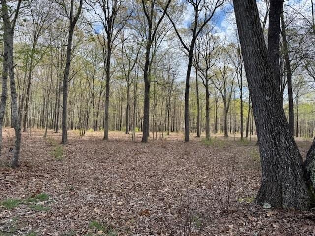0 Summertown Hwy, Hohenwald, TN 38462