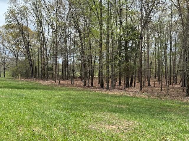0 Summertown Hwy, Hohenwald, TN 38462