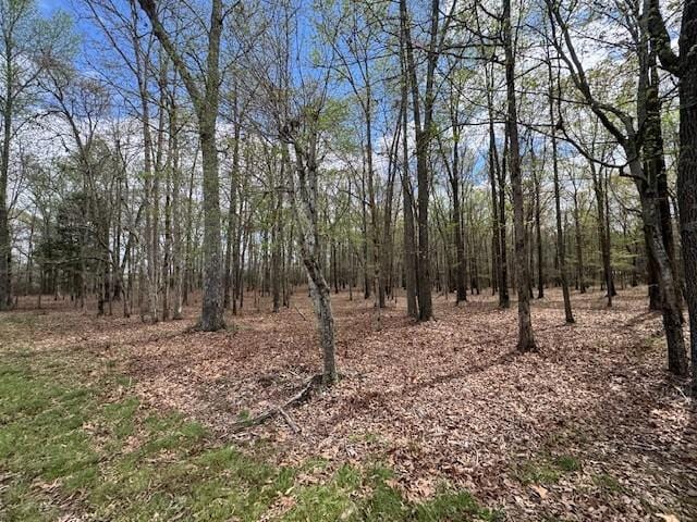 0 Summertown Hwy, Hohenwald, TN 38462