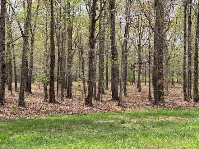 0 Summertown Hwy, Hohenwald, TN 38462